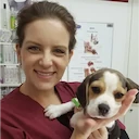 Dr. Michal Amitai