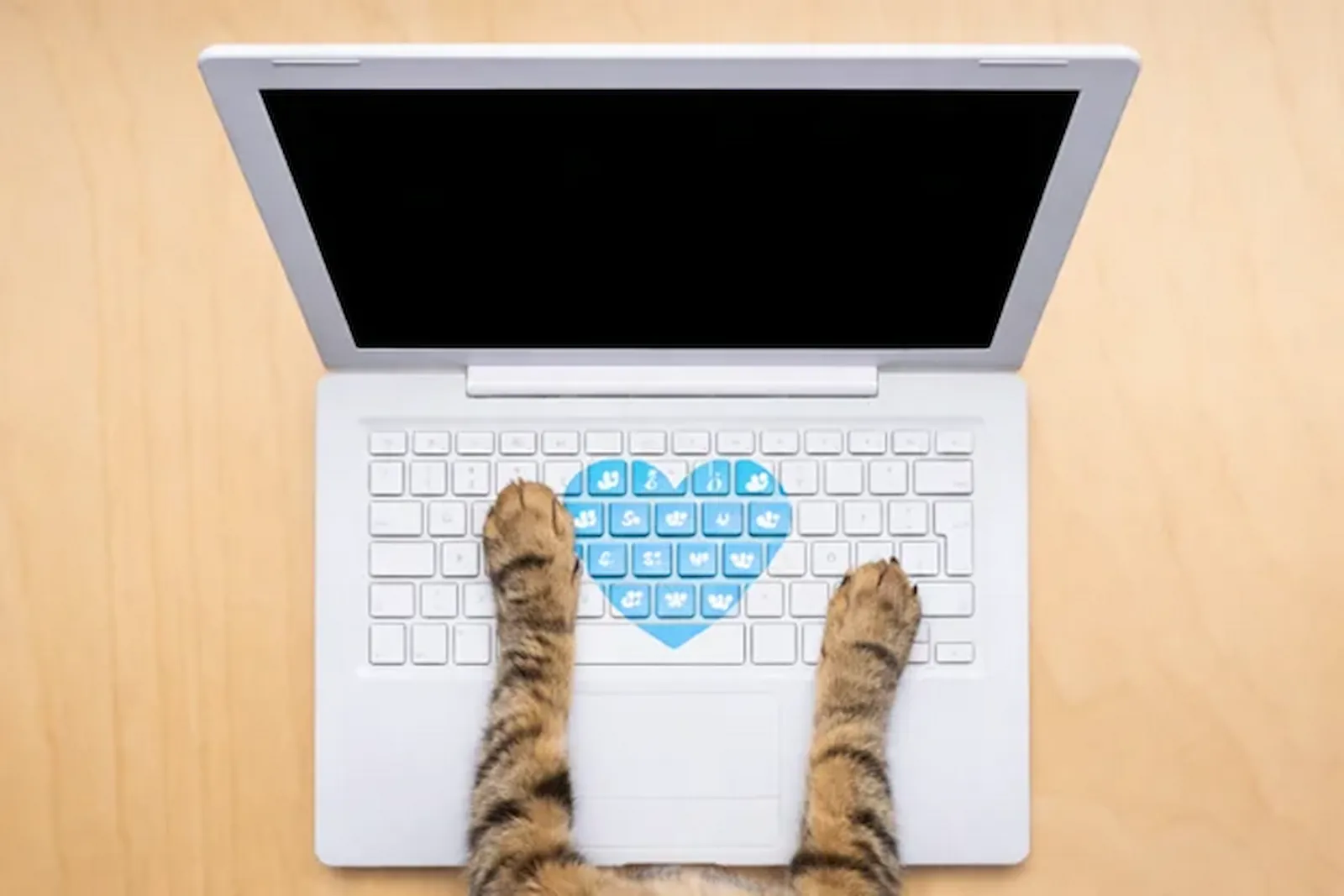 The Best Online Alternative to the Vet - PerkyPet AI