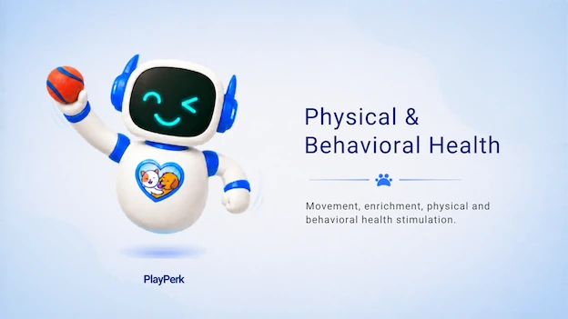 PERKY “P”: Physical and Behavioral Health, and How They Are Connected