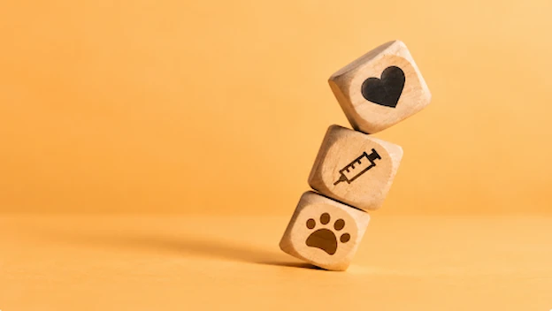 It Can’t Wait Until Monday: Veterinary Emergencies Every Pet Parent Should Know About and Symptoms to Never Ignore