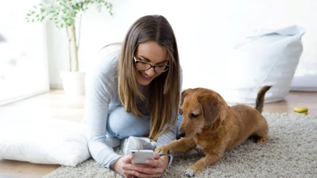 5 Reasons All Pet Parents Should Start Using AI