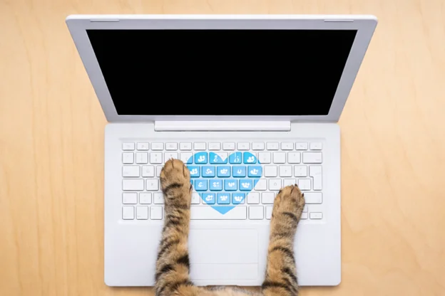 The Best Online Alternative to the Vet - PerkyPet AI