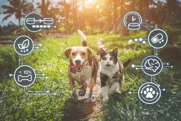 The Pet Microbiome Explained: 7 Everyday Habits That Support Gut Health