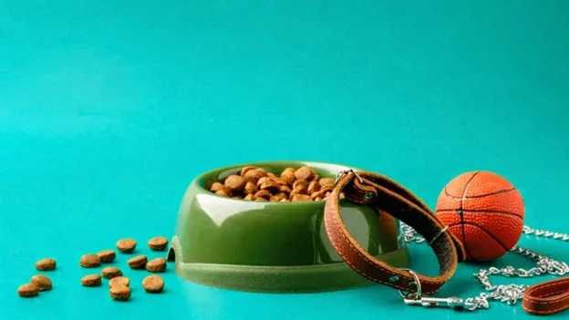 The Top 10 Tools All Pet Parents Need (Ranked for 2026)