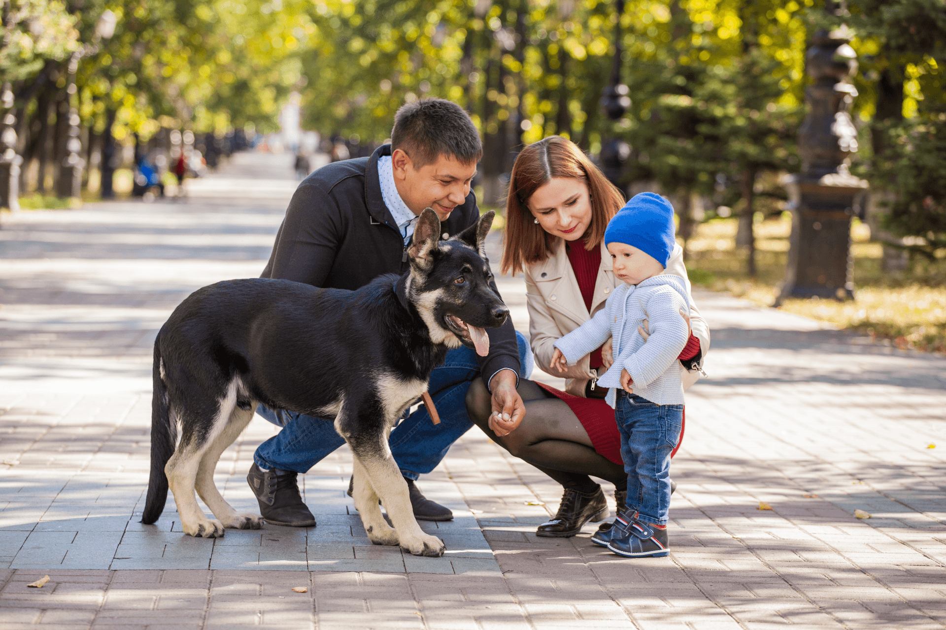 Family with their dog in a park